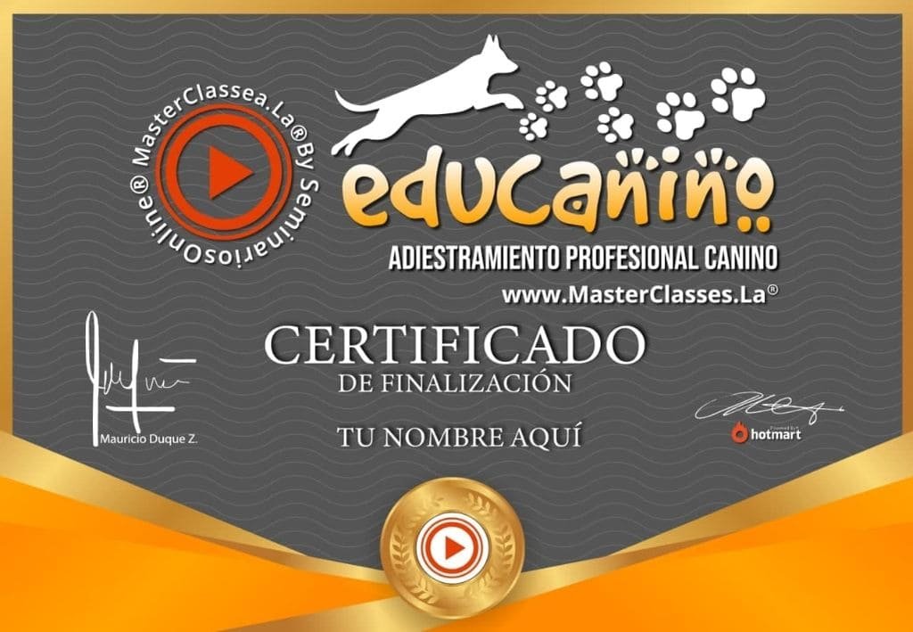 Educanino-Curso-Certificado