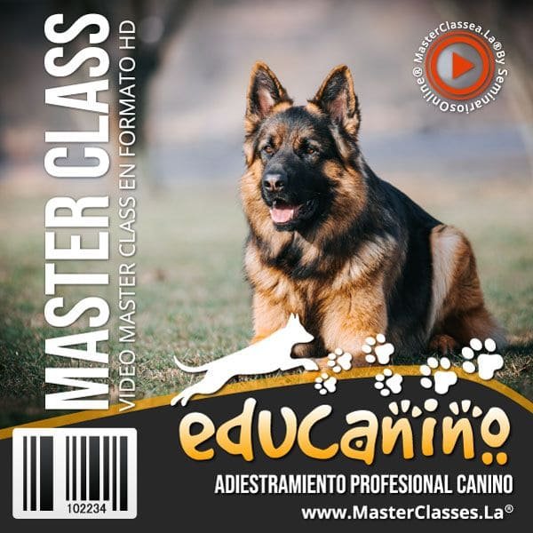 Educanino-Curso-Online-Adiestramiento-Canino-Gratis